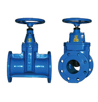 Anti-Corrosion Rubber Wedge Gate Valves